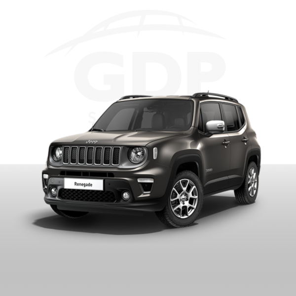 GDPservice_jeep renegade